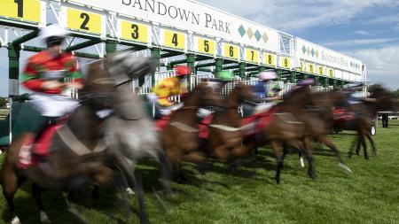 https://betting.betfair.com/horse-racing/Sandown%20stalls%2012800.jpg